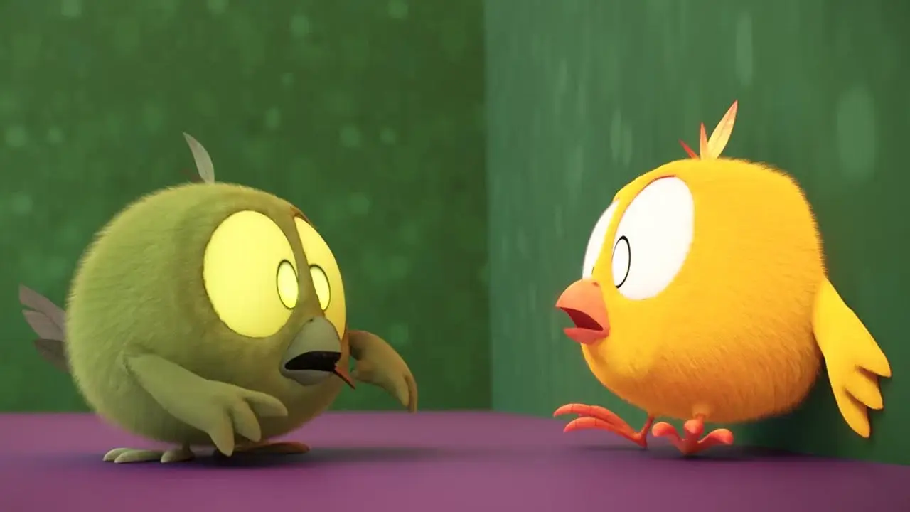 Night of the Chickys | Where's Chicky? | Cartoon Collection in English for Kids | New episodes